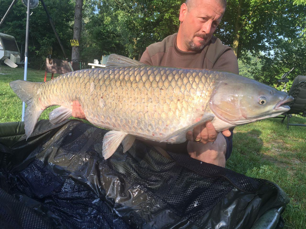 Lago Boschetto 9 - 11 iunie 2017 - img-20170610-wa0001.jpg